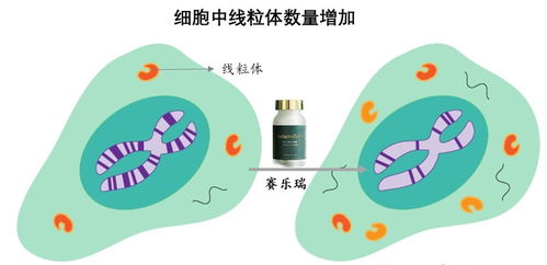 規(guī)劃150歲人生 生物科技拐點(diǎn)將至，國(guó)際資本已搶灘登陸