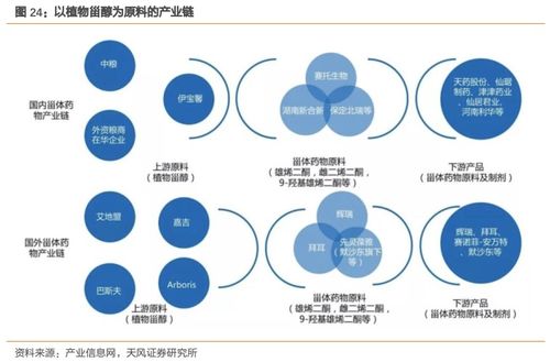 溢多利 專注研發(fā)創(chuàng)新的生物技術(shù)隱形冠軍，替抗業(yè)務(wù)迎來(lái)高增長(zhǎng)