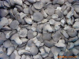 邯鄲市兆輝生物科技 深耕生物技術(shù)開(kāi)發(fā)，打造多元化高品質(zhì)食用菌產(chǎn)品矩陣