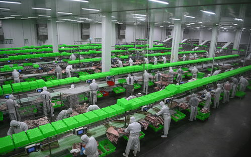 內(nèi)鄉(xiāng)牧原食品城正式投入運(yùn)行 一期投資5億元，年屠宰加工200萬頭生豬，推動(dòng)生物技術(shù)開發(fā)